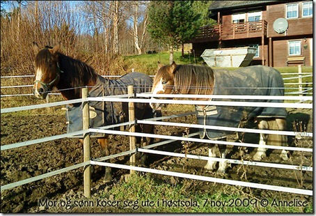 2009-7nov-pondus-jenta_01