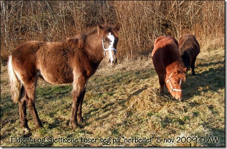 nerbeitet-8nov-09_01