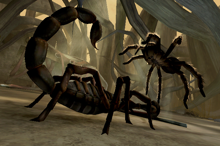 47057_tarantulavskingscorpion_01_01.jpg