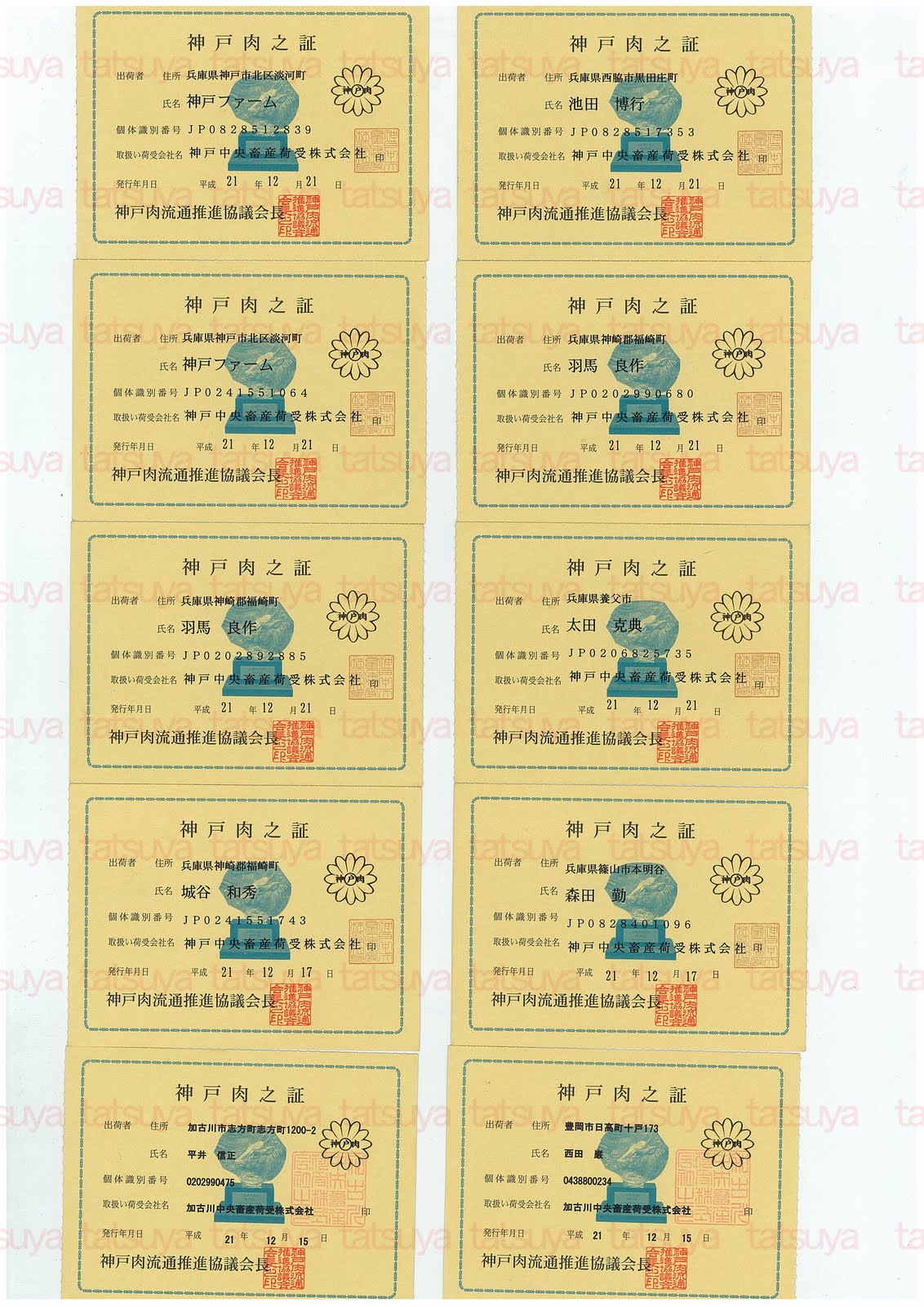 [LOT-09122701-#1.jpg]