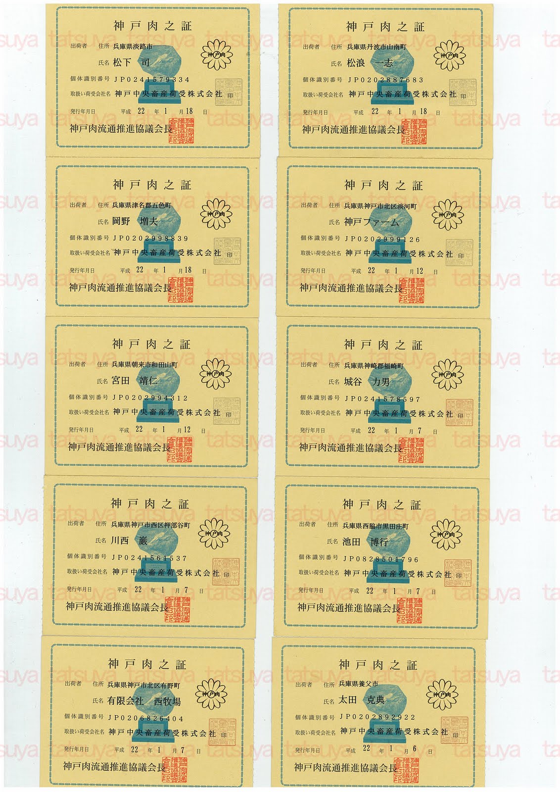 [LOT-10012501-#1.jpg]