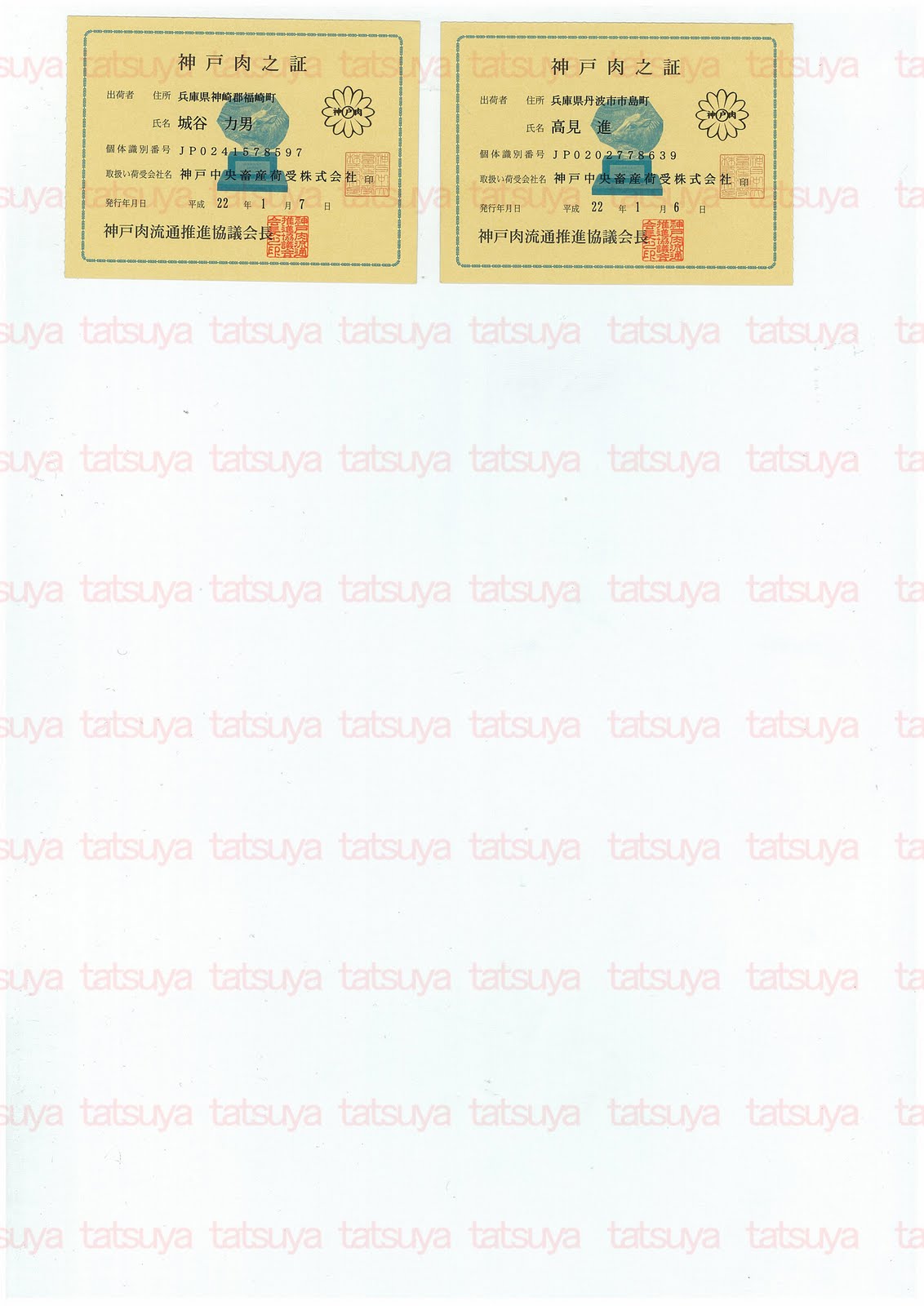 [LOT-10020301-#2.jpg]