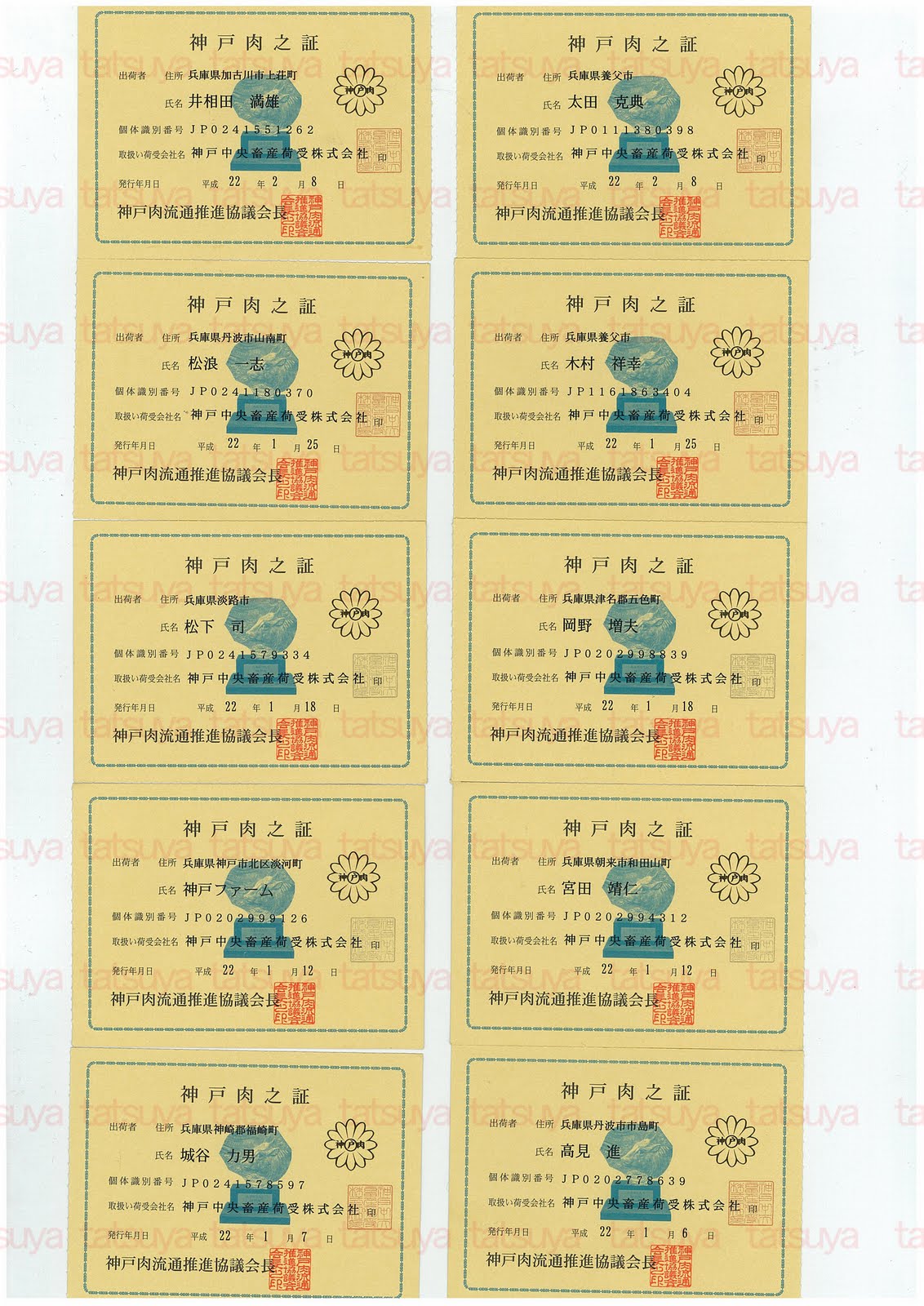 [LOT-10021001-#1.jpg]