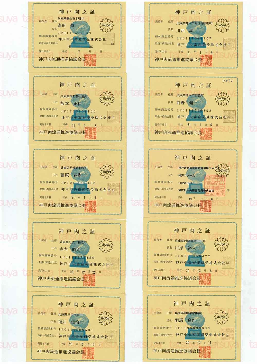 [LOT-09012001-#1.jpg]