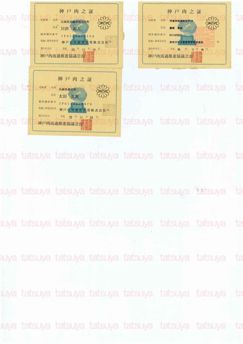 [LOT-08122001-#3.jpg]