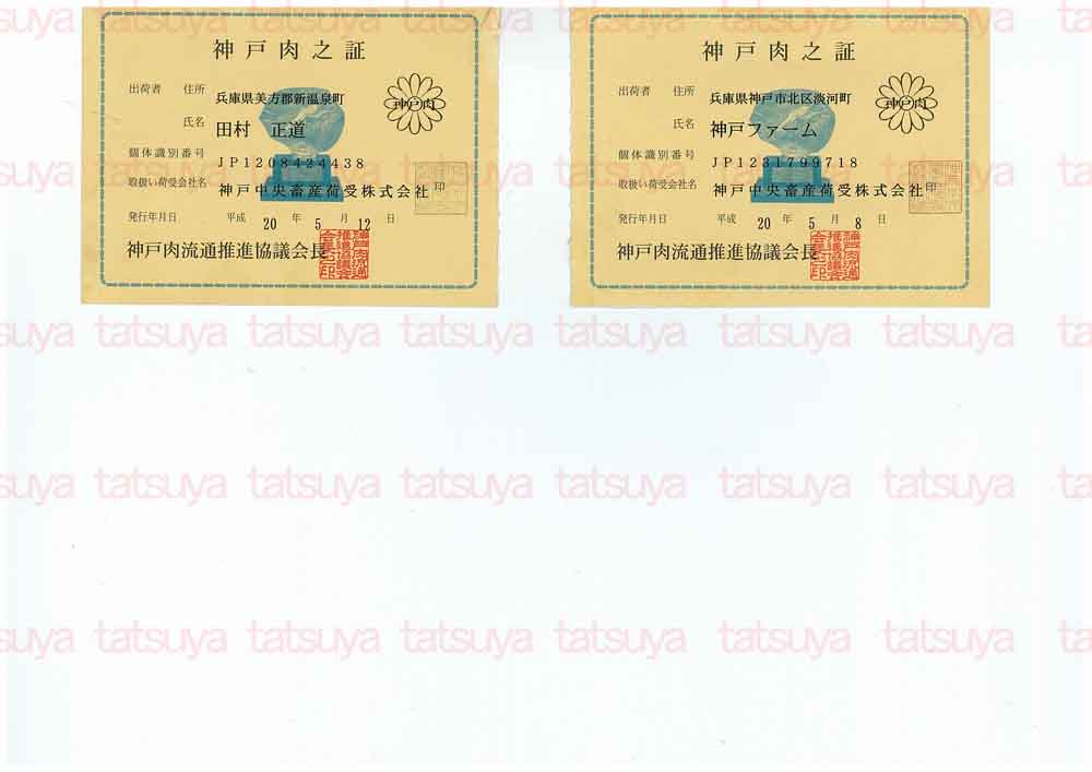 [LOT-08061301-#1.jpg]