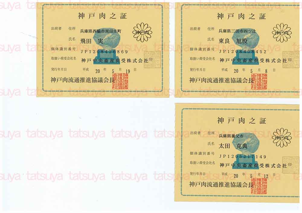 [LOT-08061401-#2.jpg]