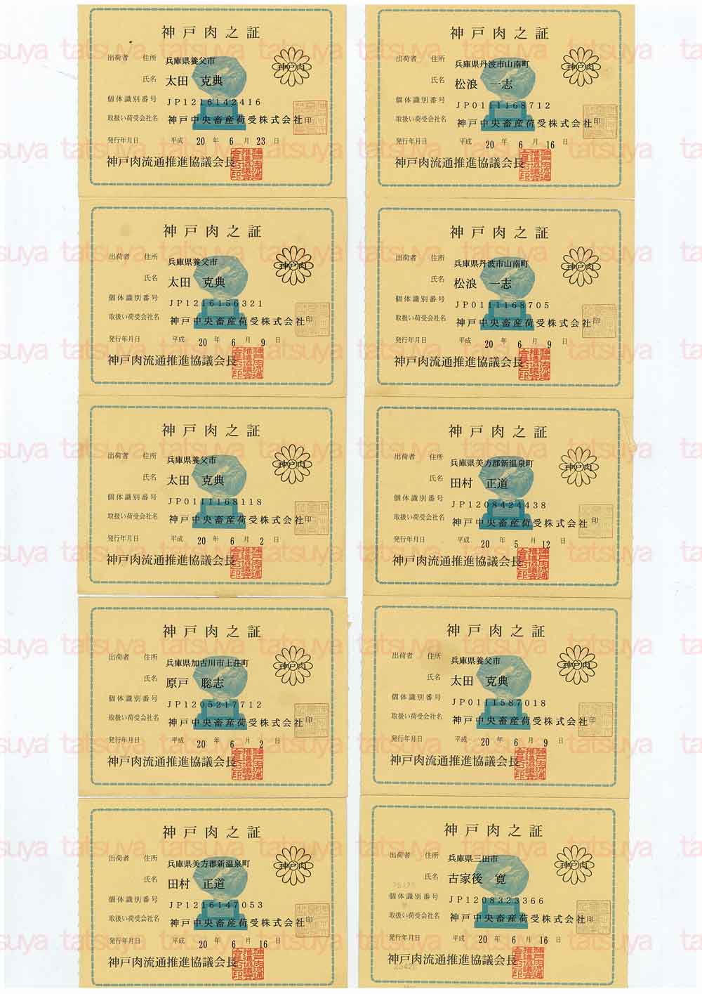 [LOT-08062801-#1.jpg]