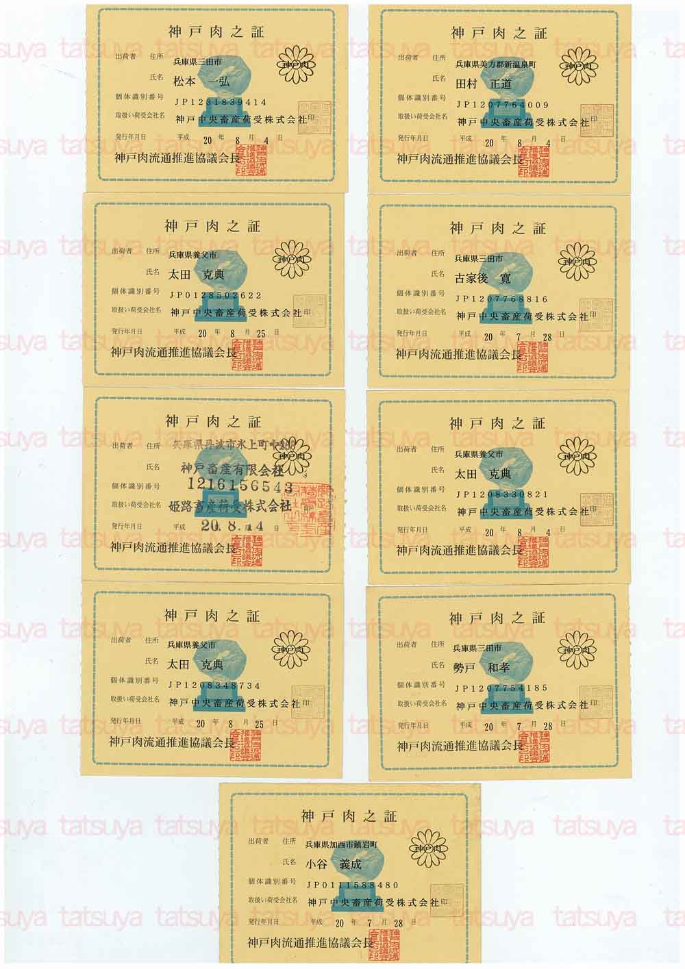 [LOT-08090201-#1.jpg]