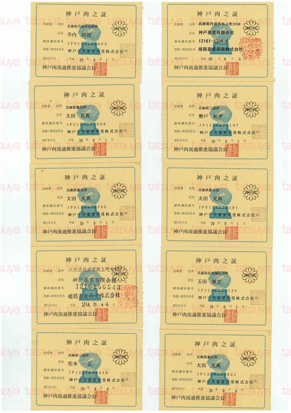 [LOT-08091101-#1.jpg]