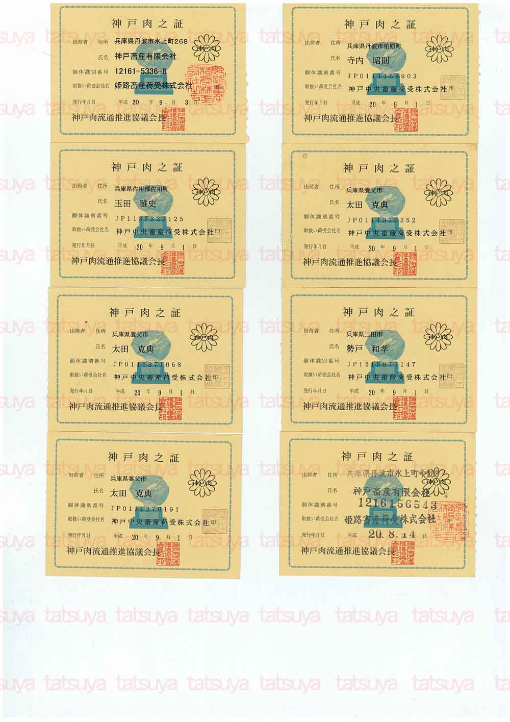 [LOT-08091201-#1.jpg]