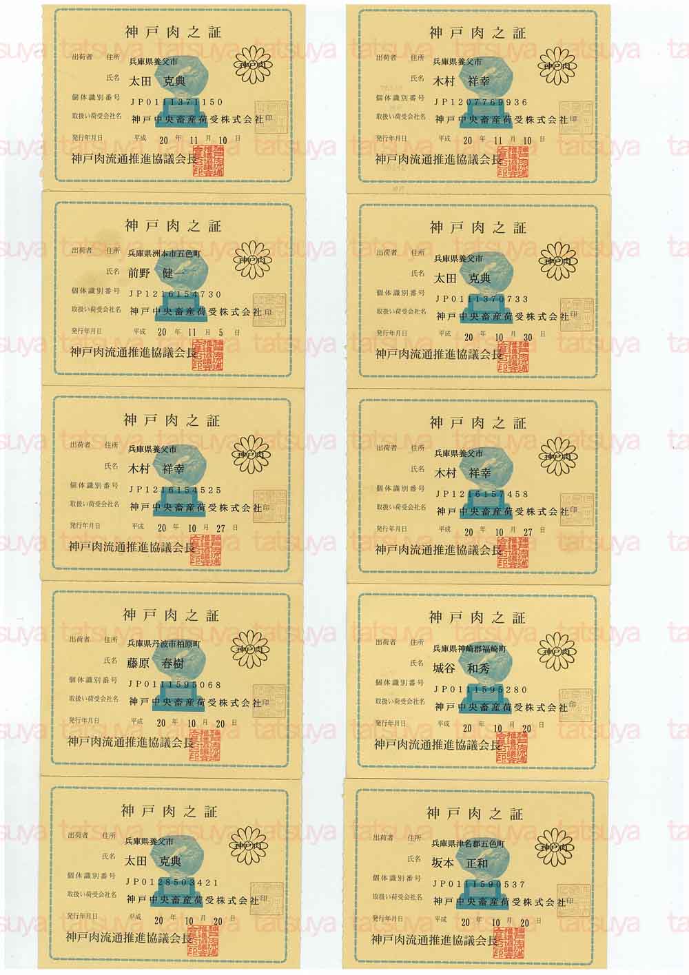 [LOT-08112101-#1.jpg]