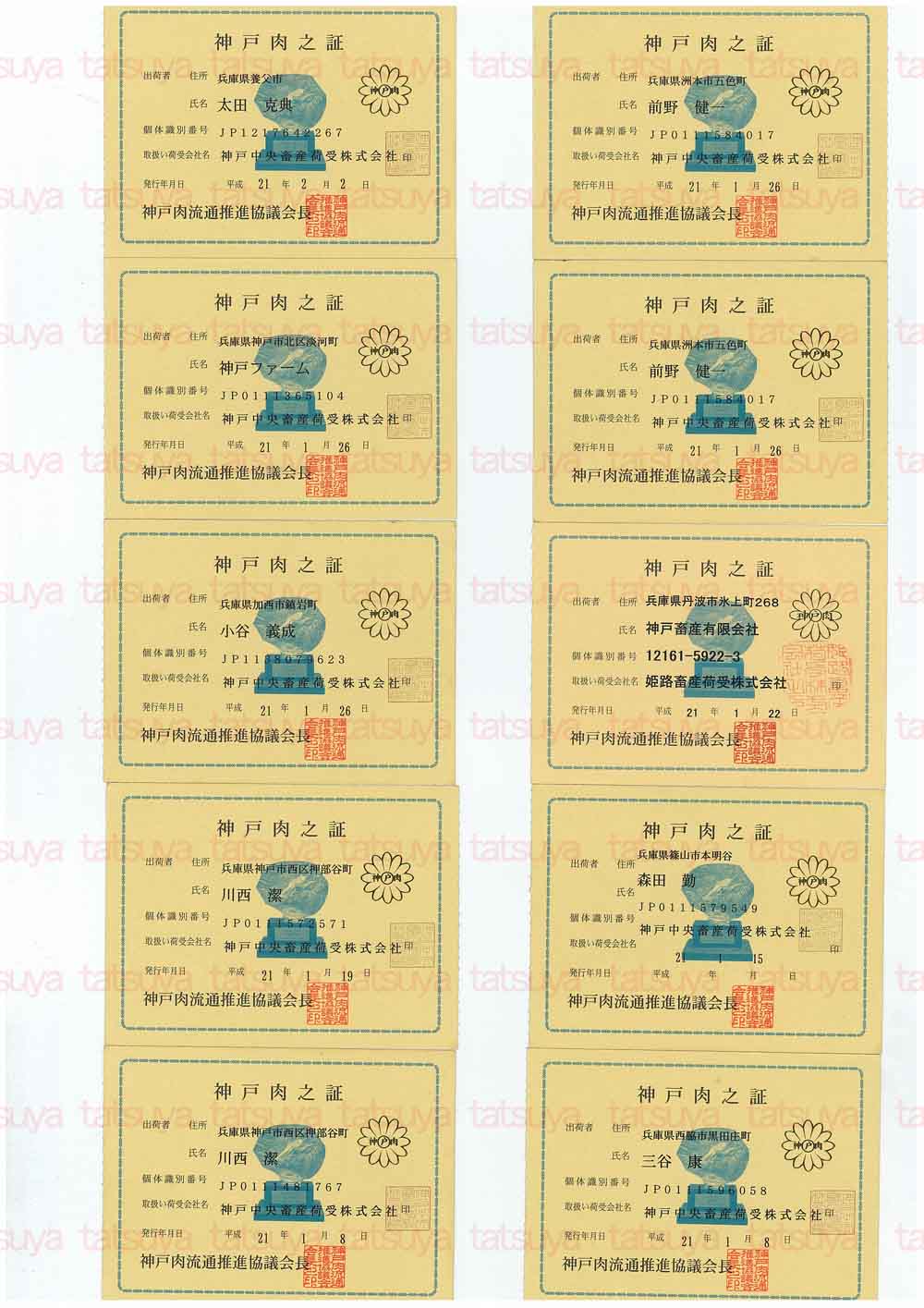 [LOT-09021201-#1.jpg]