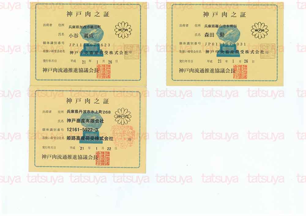 [LOT-09022001-#2.jpg]