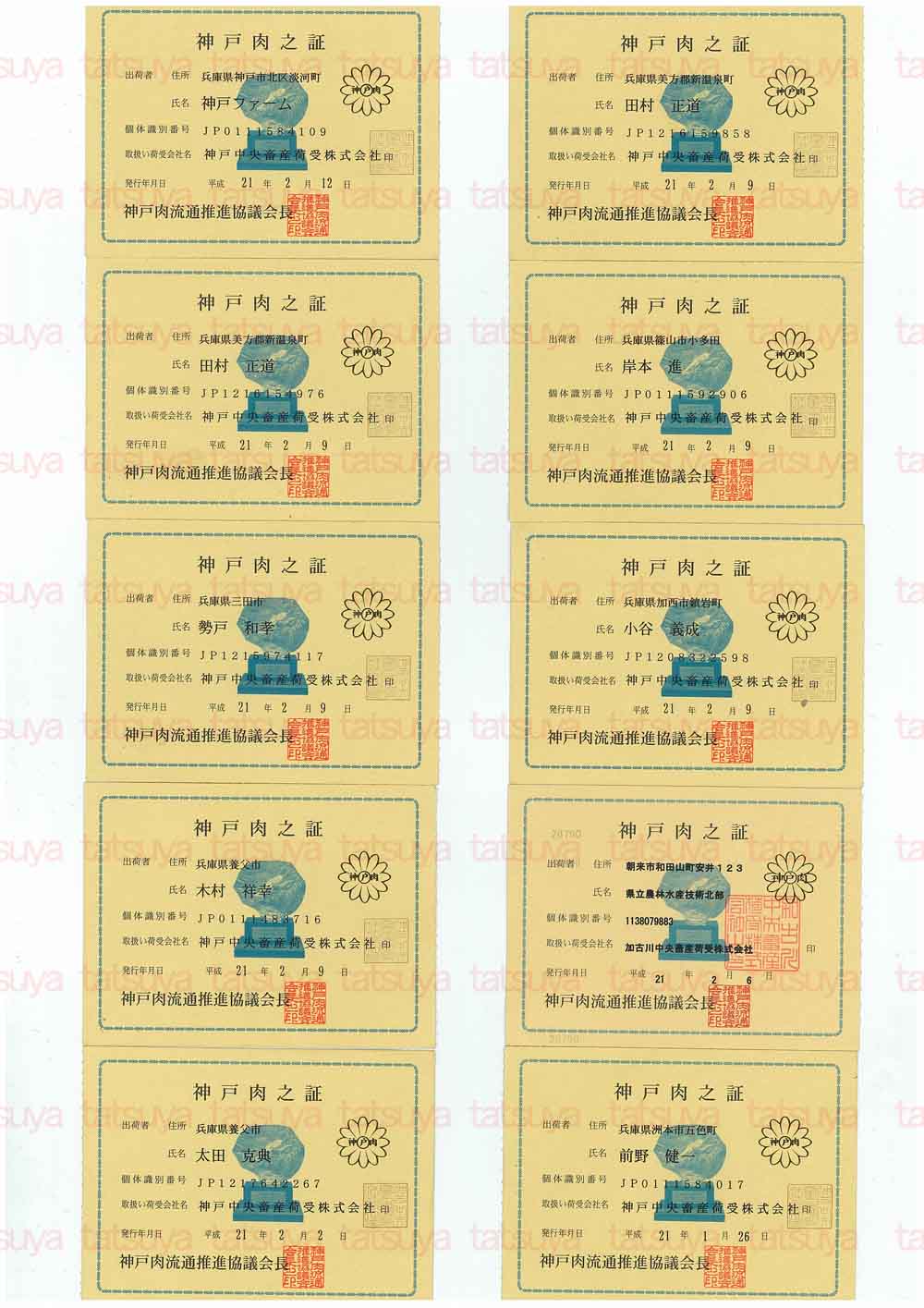 [LOT-09022301-#1.jpg]