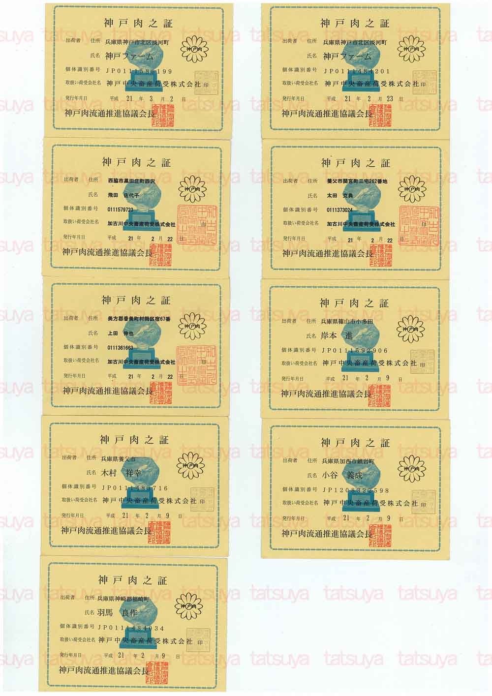 [LOT-09030701-#1.jpg]
