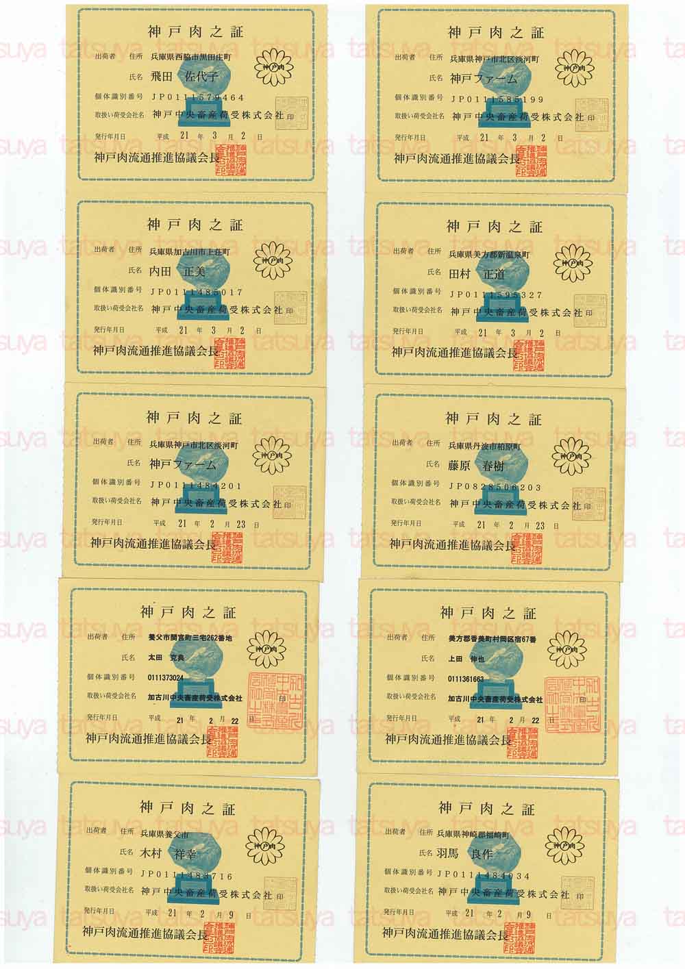 [LOT-09031401-#1.jpg]