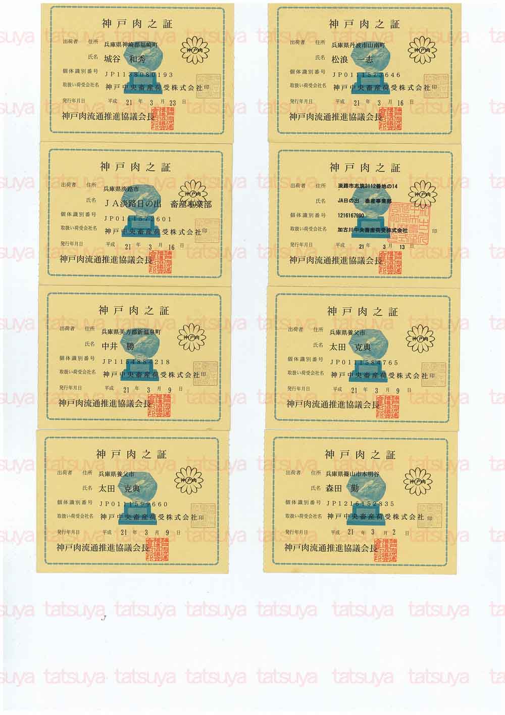 [LOT-09032701-#1.jpg]