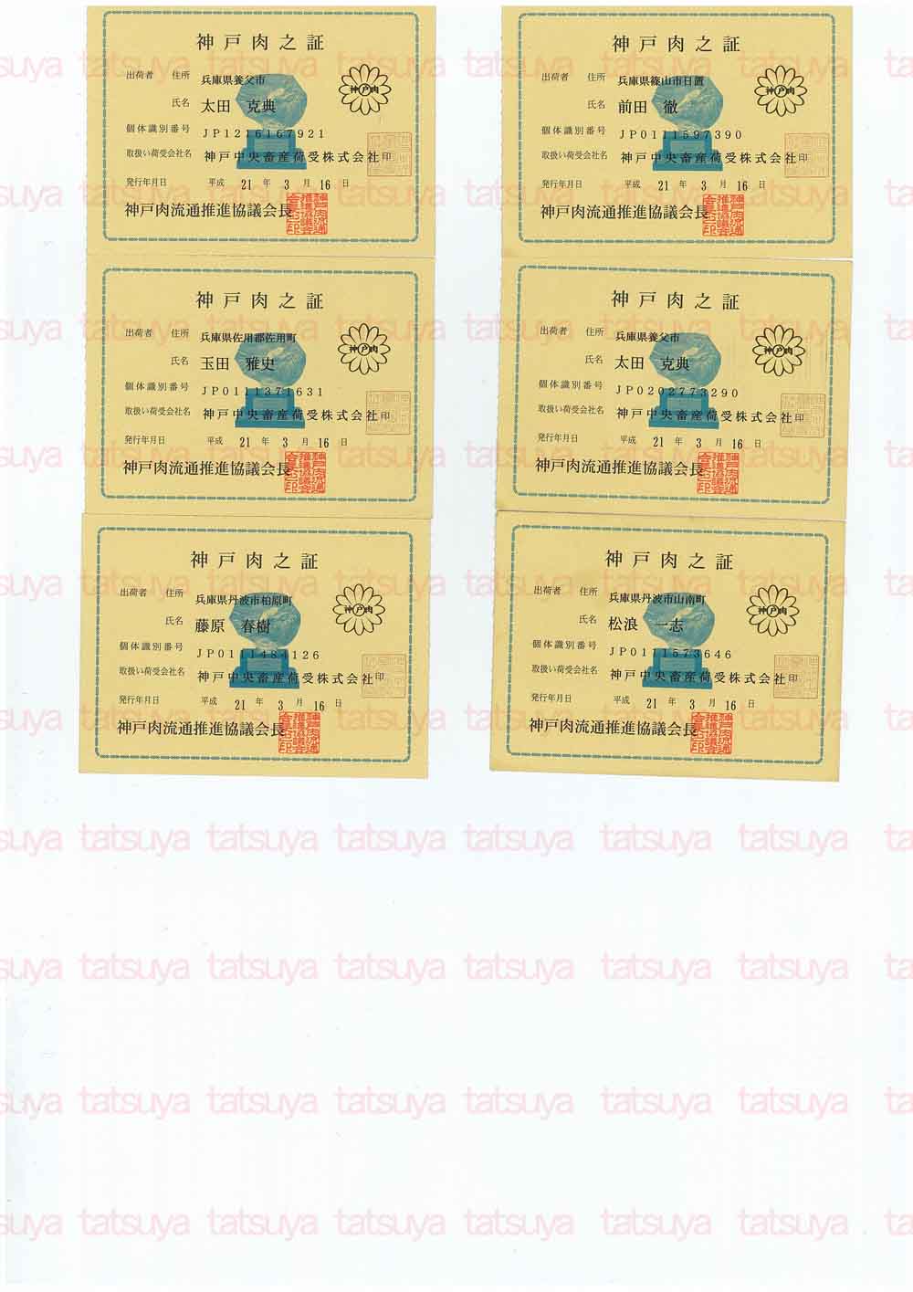 [LOT-09041801-#2.jpg]
