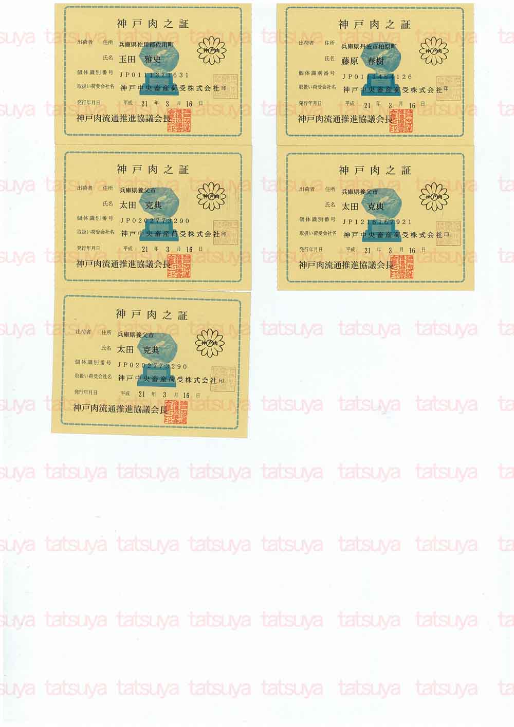 [LOT-09041501-#2.jpg]