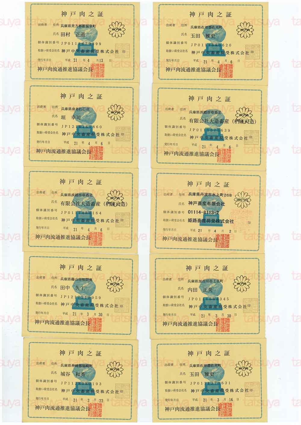 [LOT-09042201-#1.jpg]
