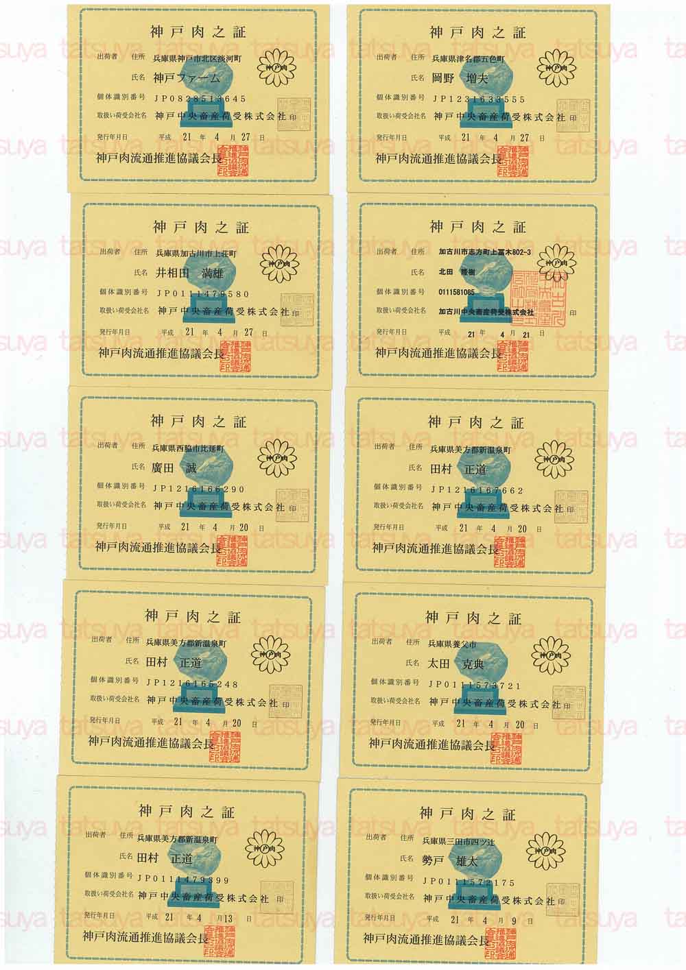 [LOT-09050801-#1.jpg]