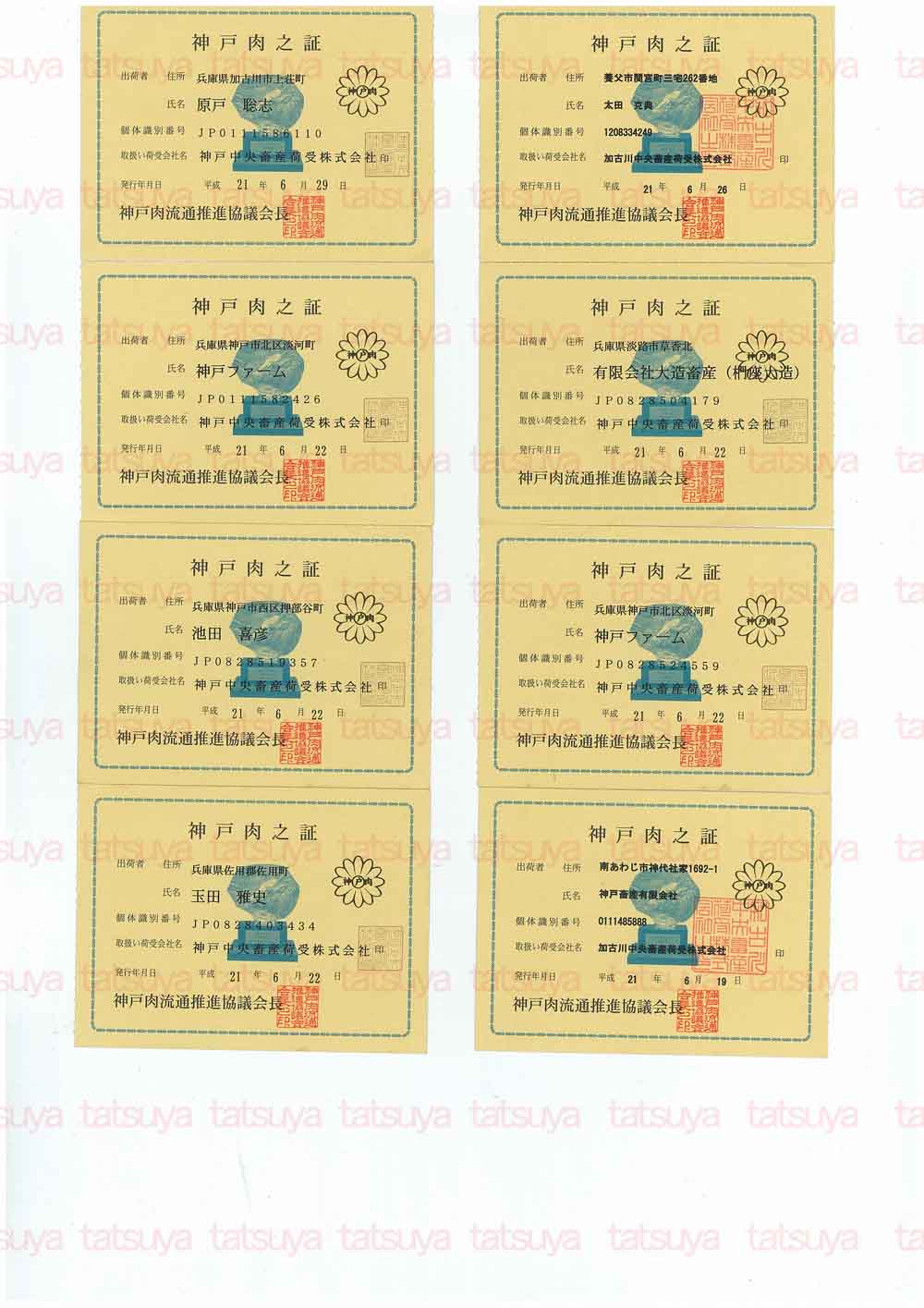 [LOT-09070301-#1.jpg]