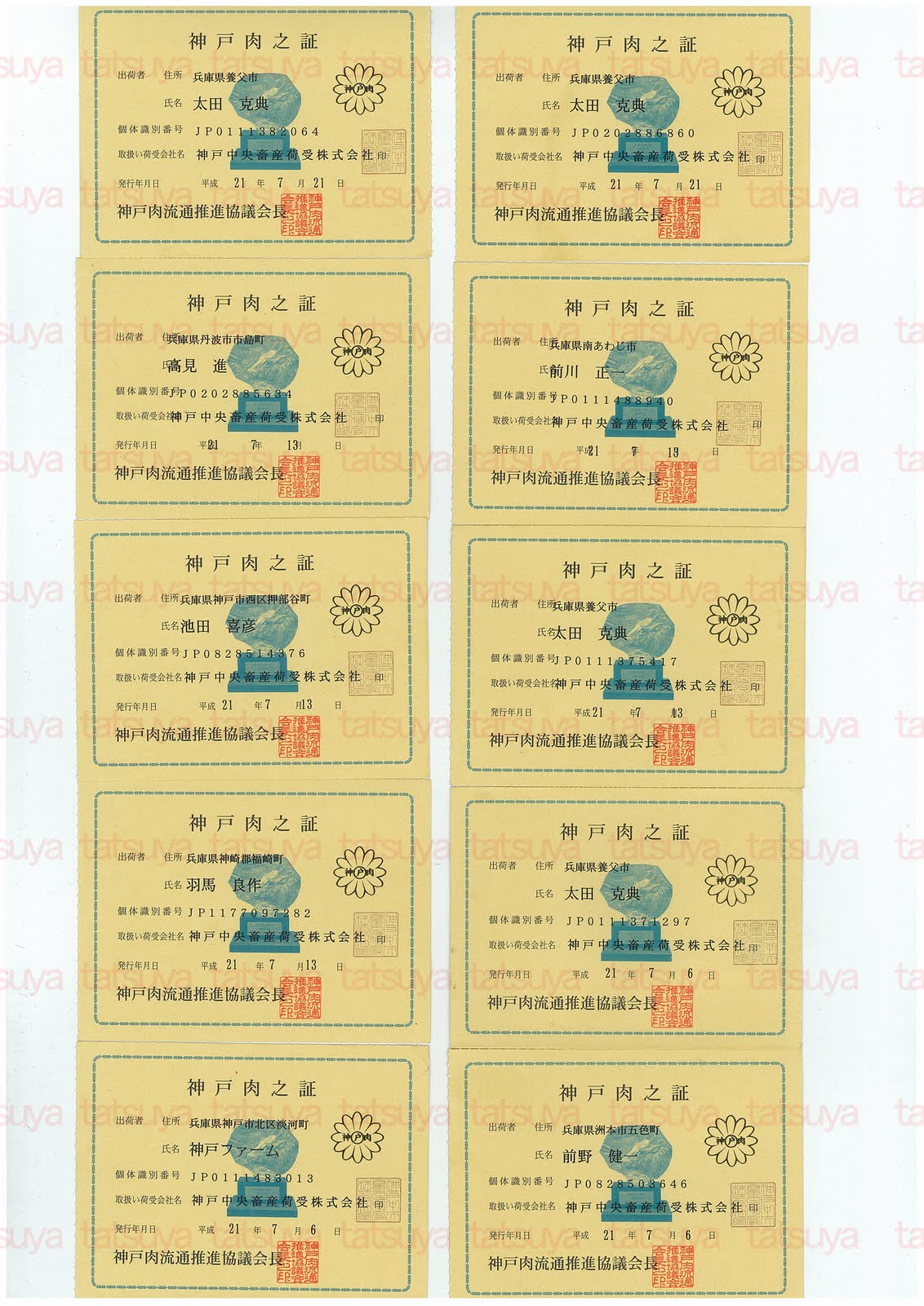 [LOT-09072502-#1.jpg]