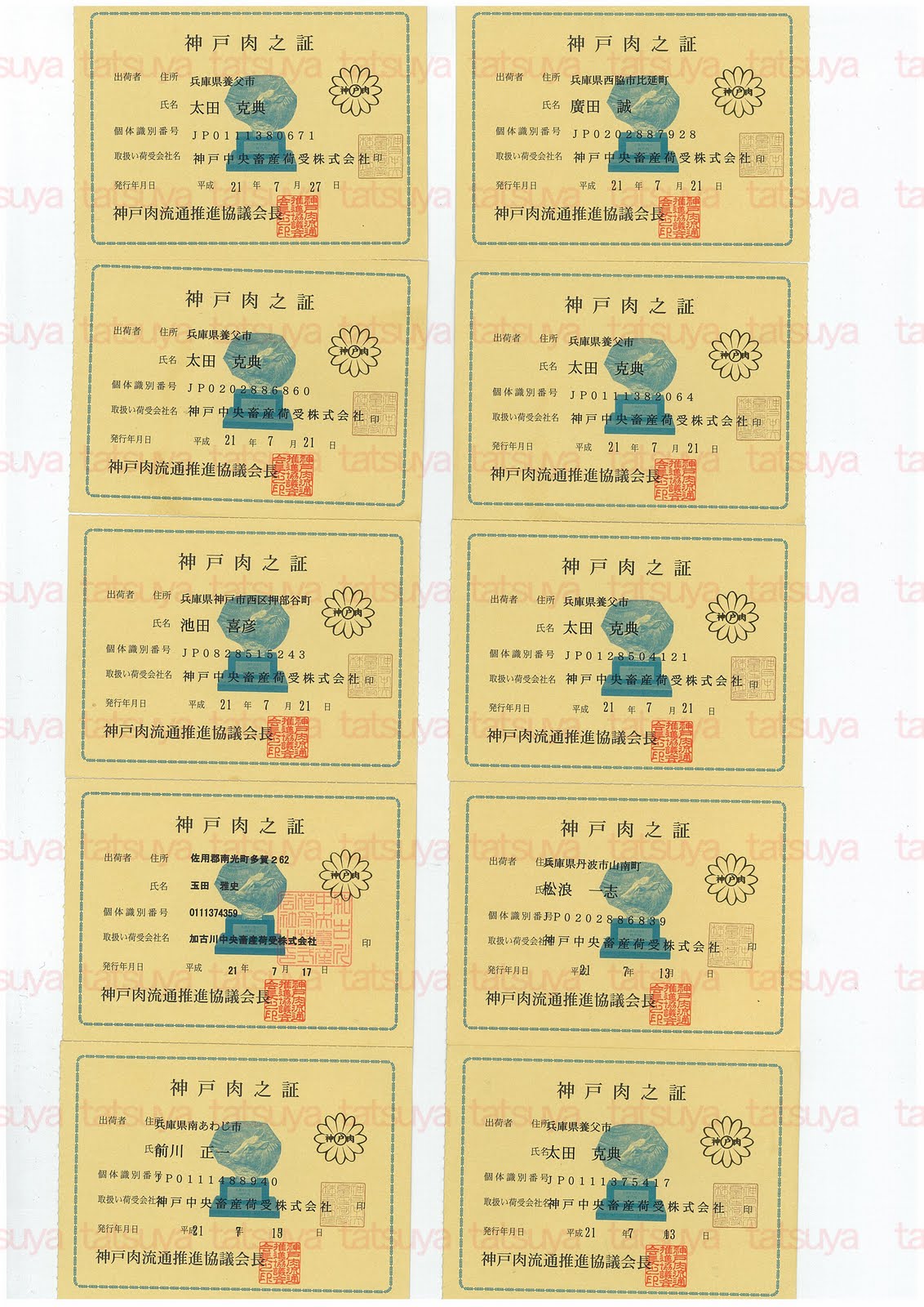 [LOT-09080101-#1.jpg]