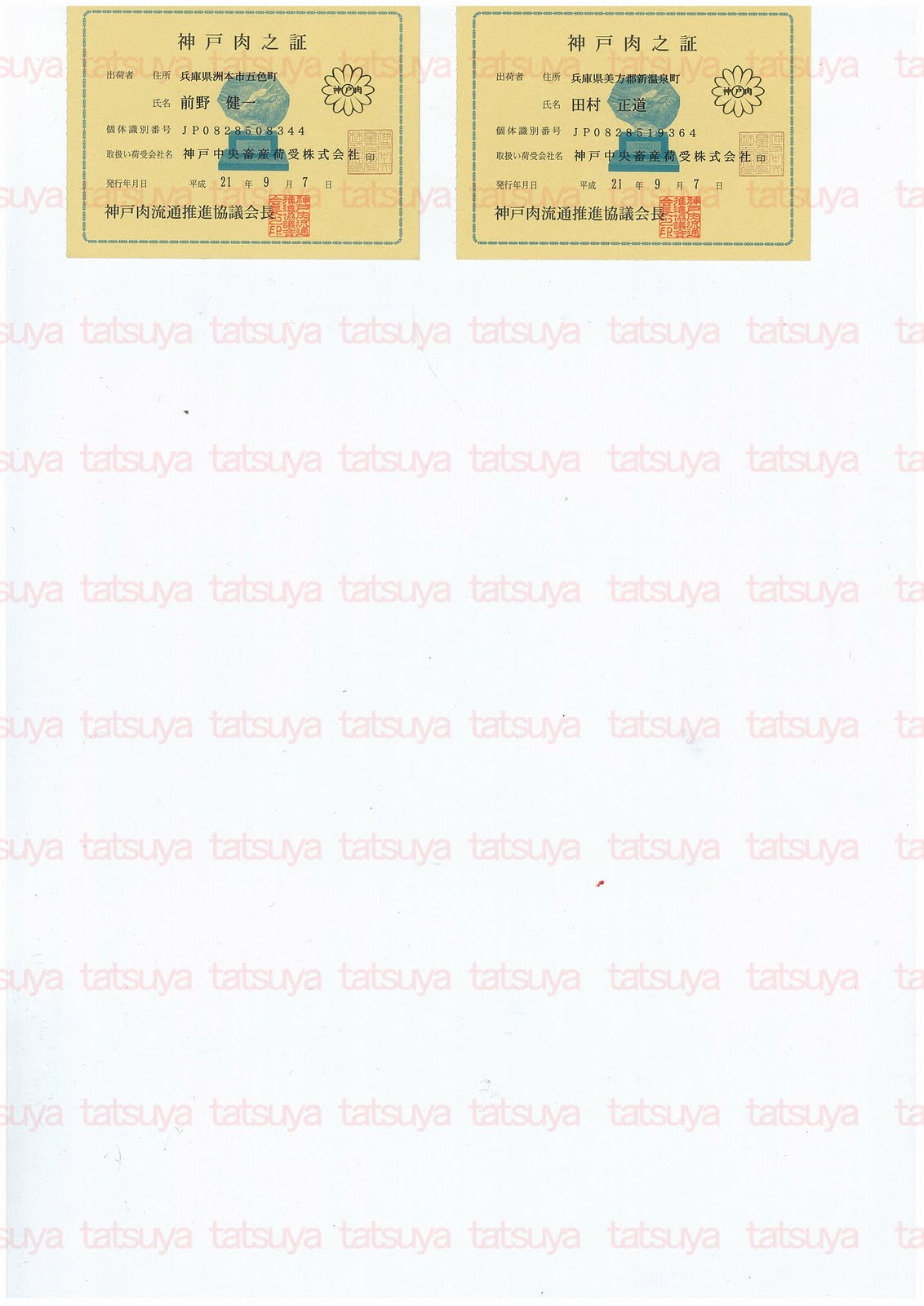 [LOT-09100701-#3.jpg]