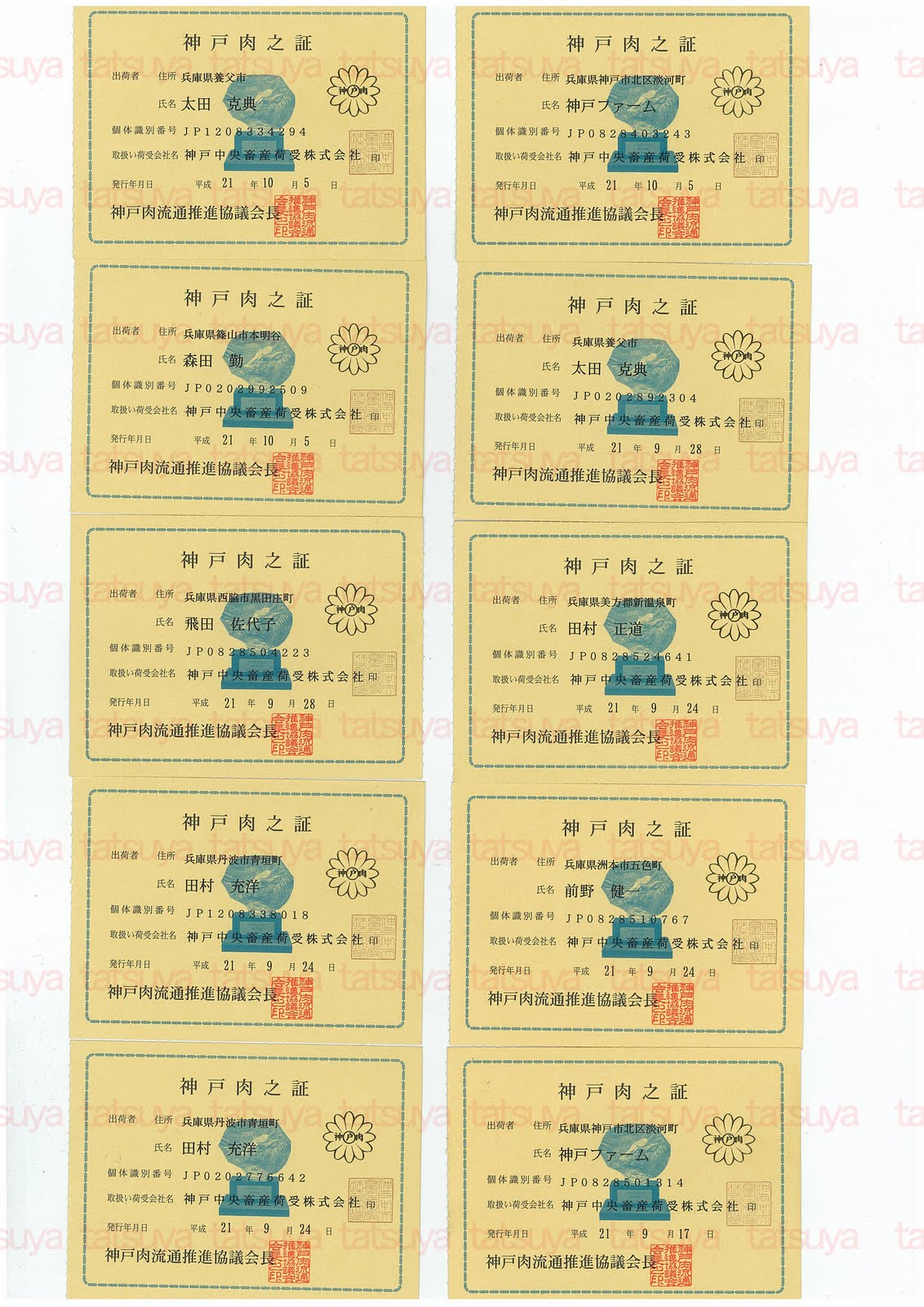 [LOT-09101001-#1.jpg]