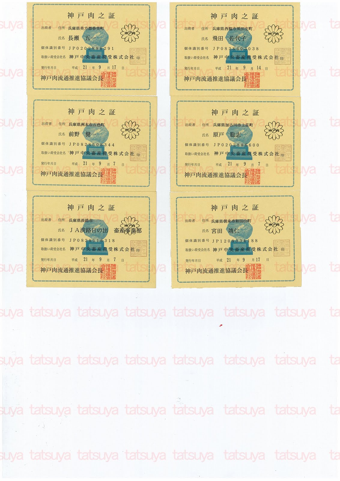 [LOT-09101001-#2.jpg]