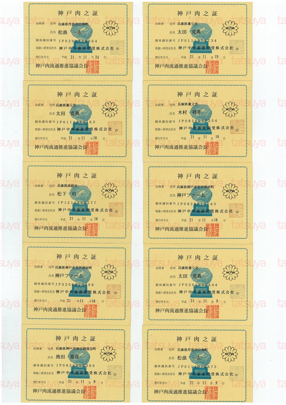 [LOT-09120101-#1.jpg]