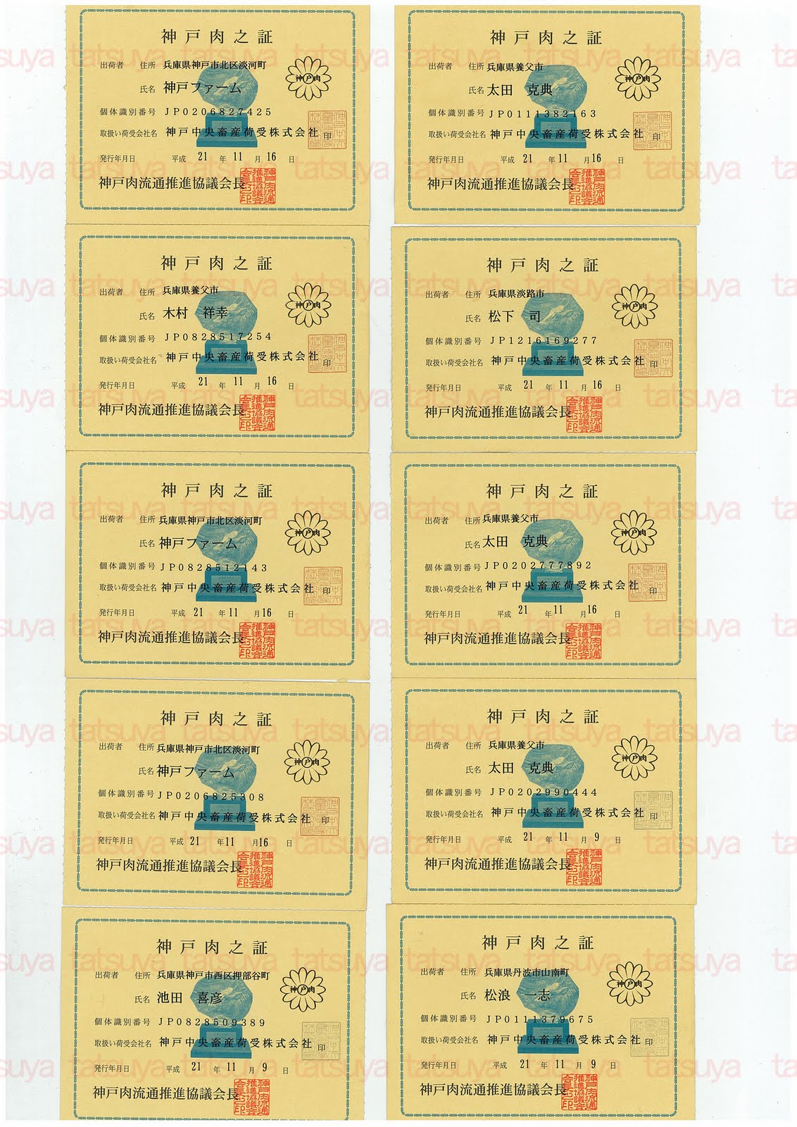 [LOT-09120401-#2.jpg]