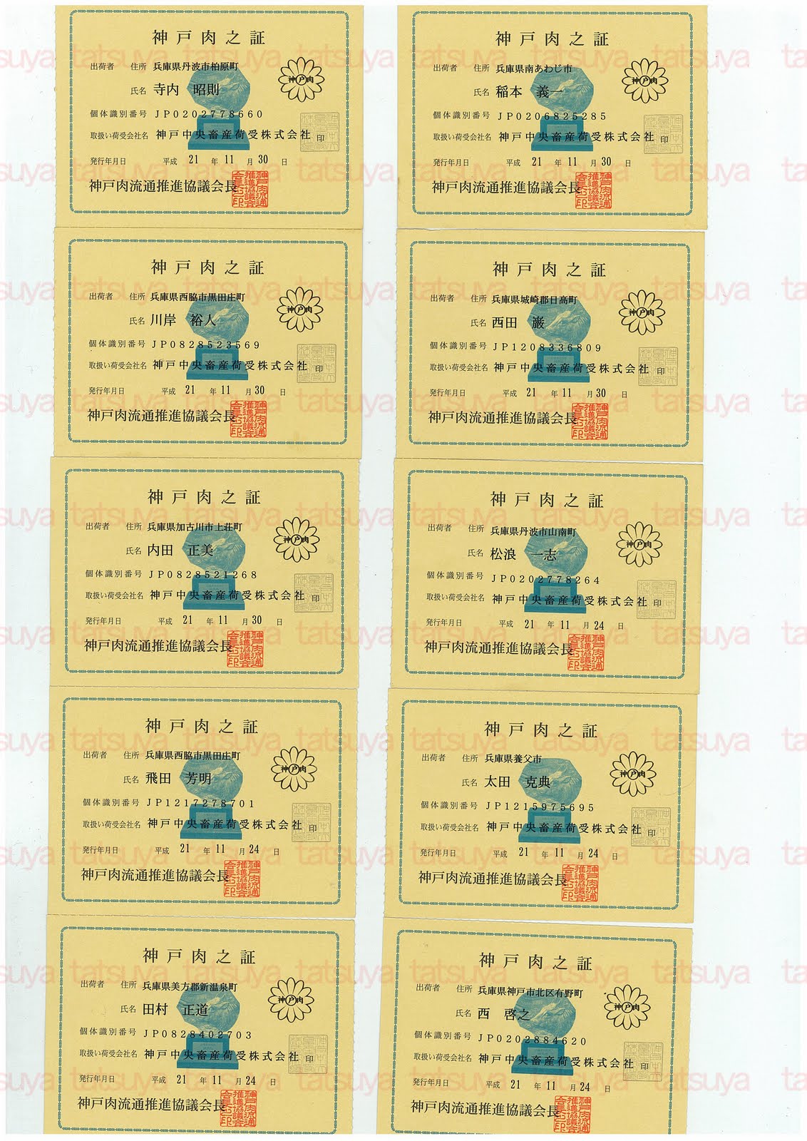 [LOT-09121101-#2.jpg]