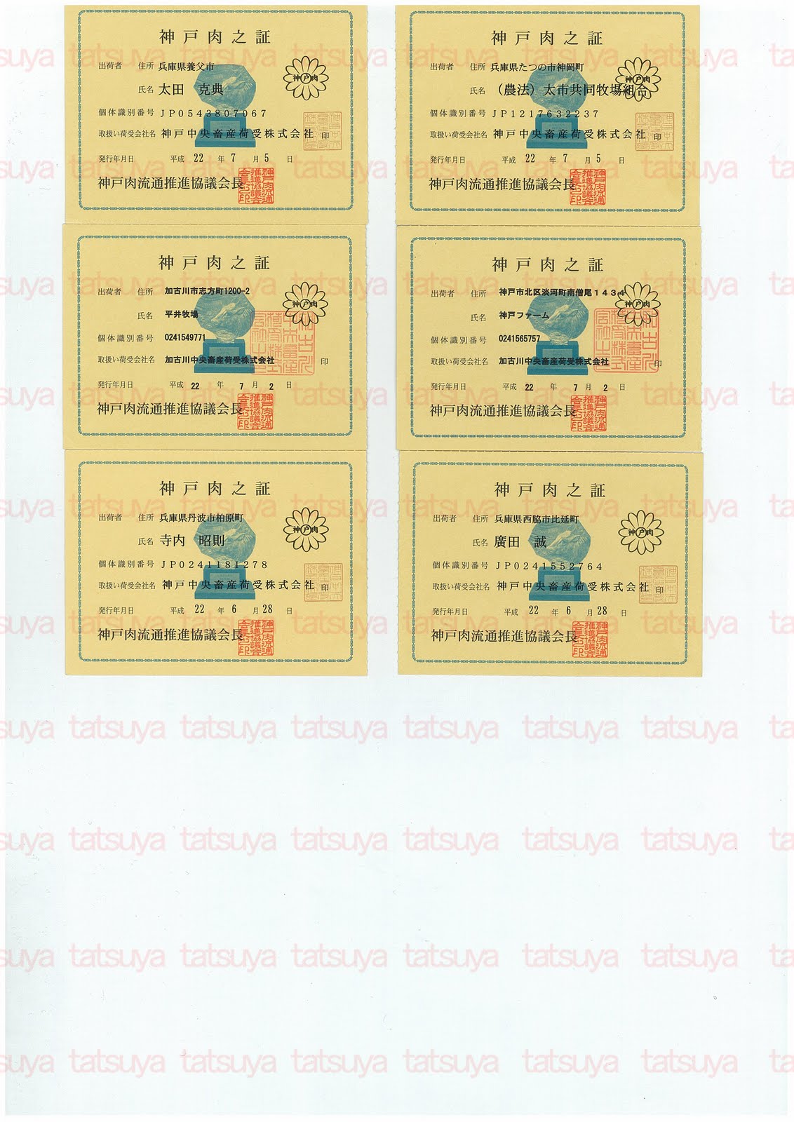 [LOT-10072701-#2.jpg]