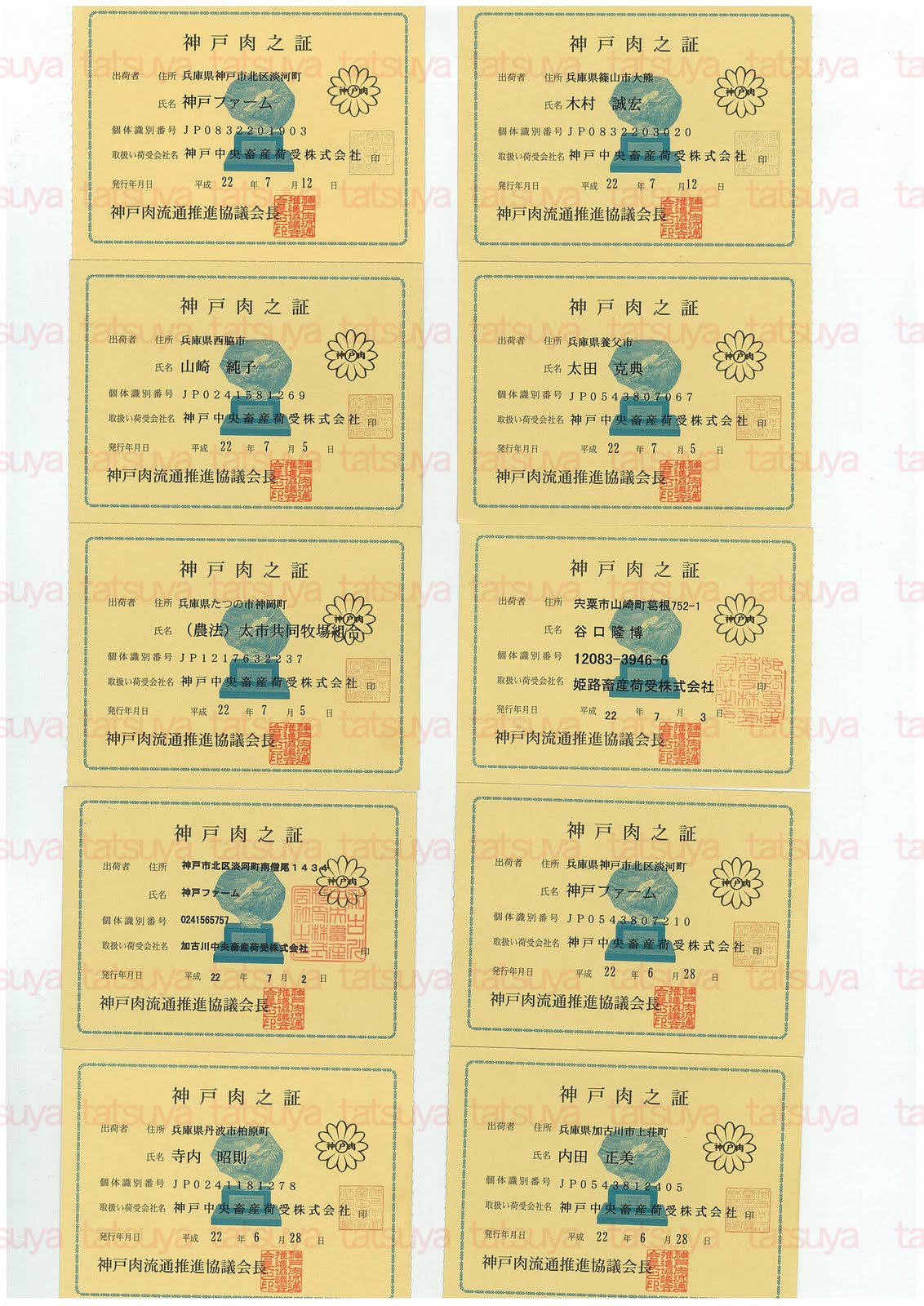 [LOT-10072101-#1.jpg]