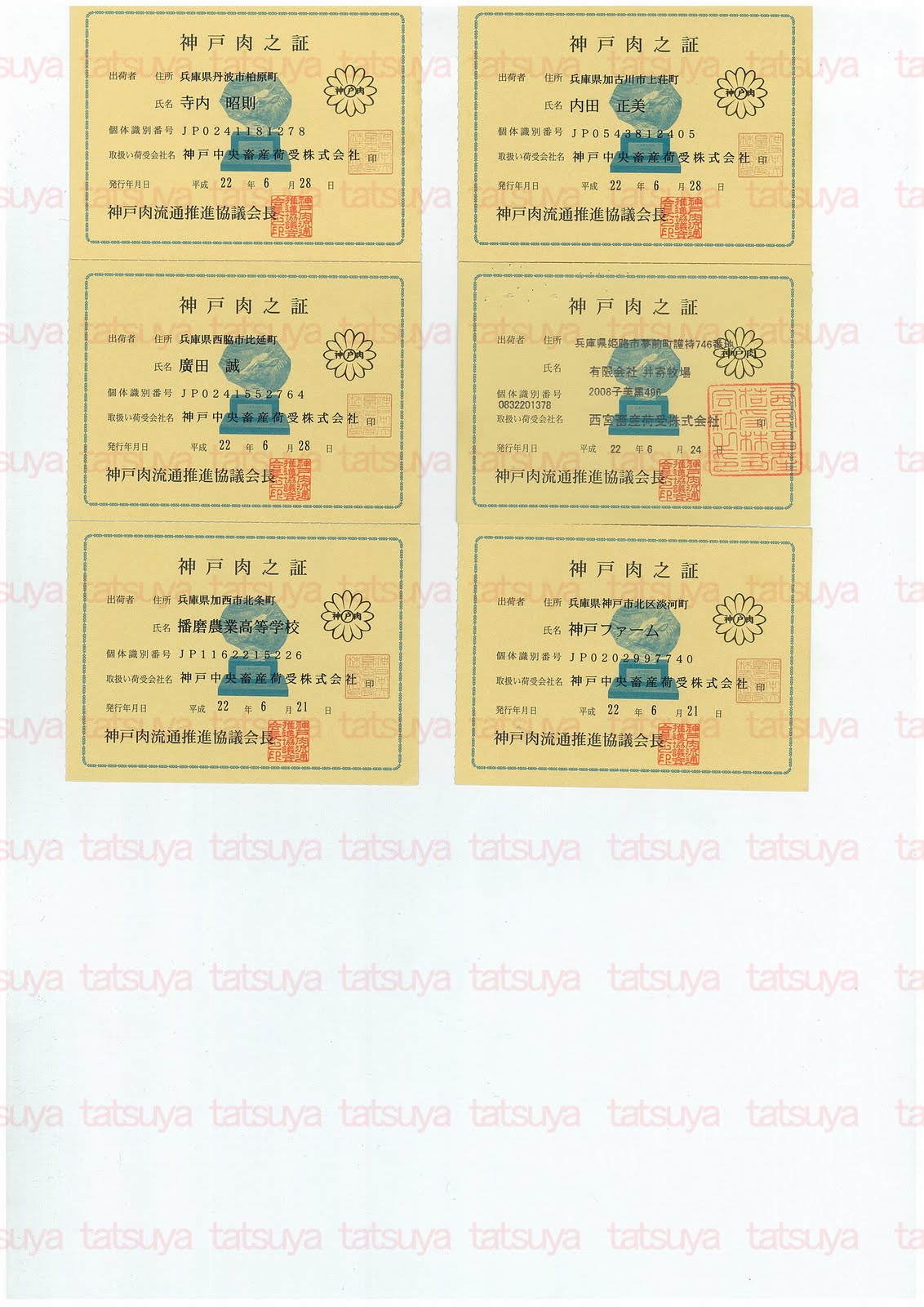 [LOT-10072102-#2.jpg]