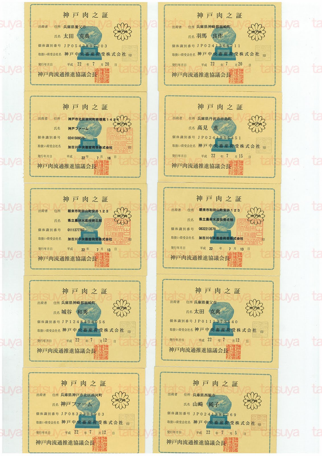 [LOT-10073101-#1.jpg]