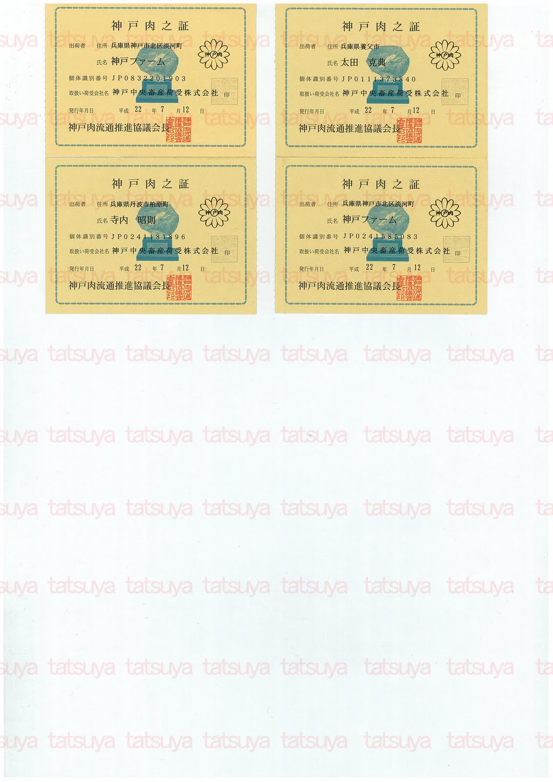 [LOT-10080501-#2.jpg]