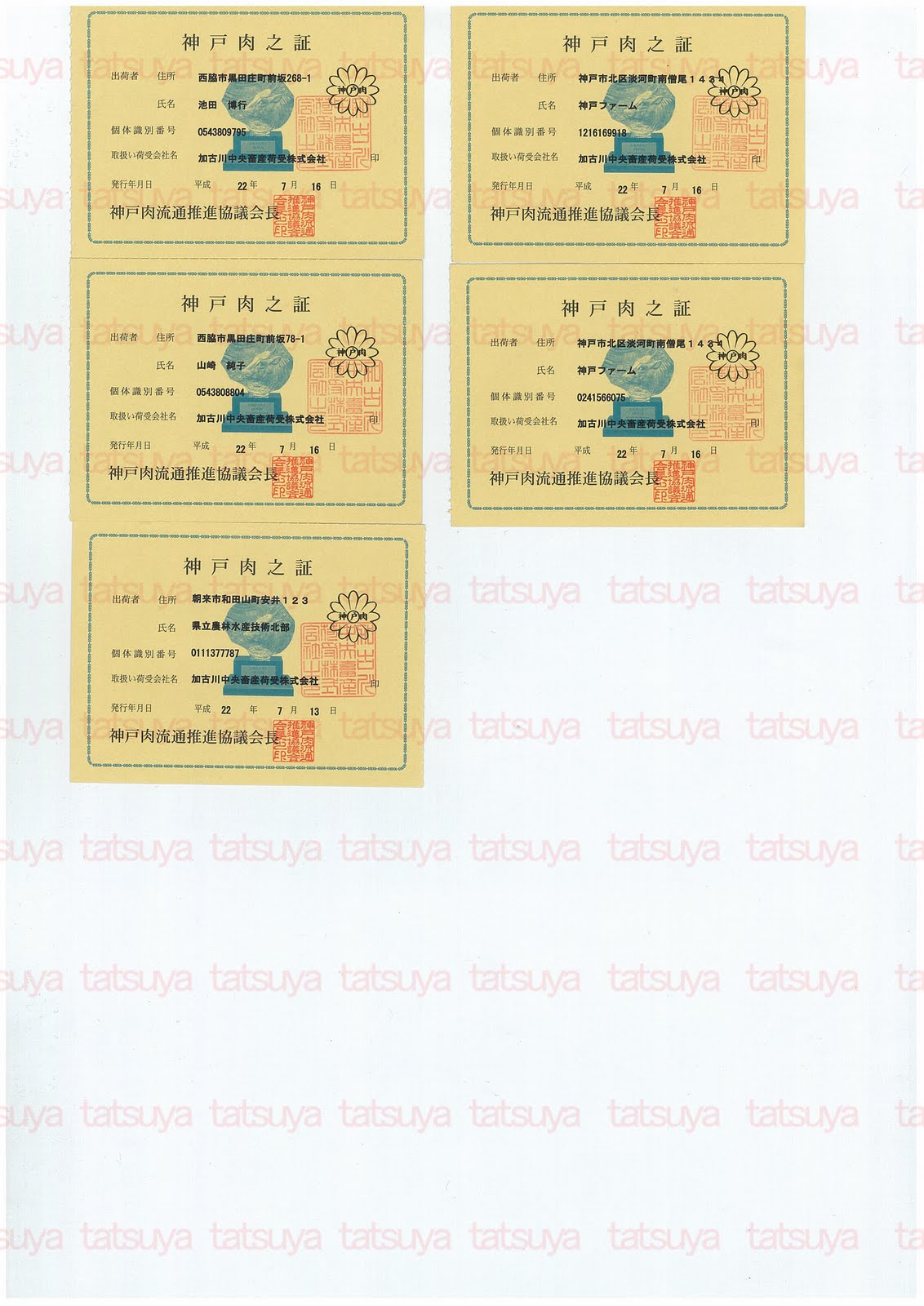 [LOT-10081101-#2.jpg]