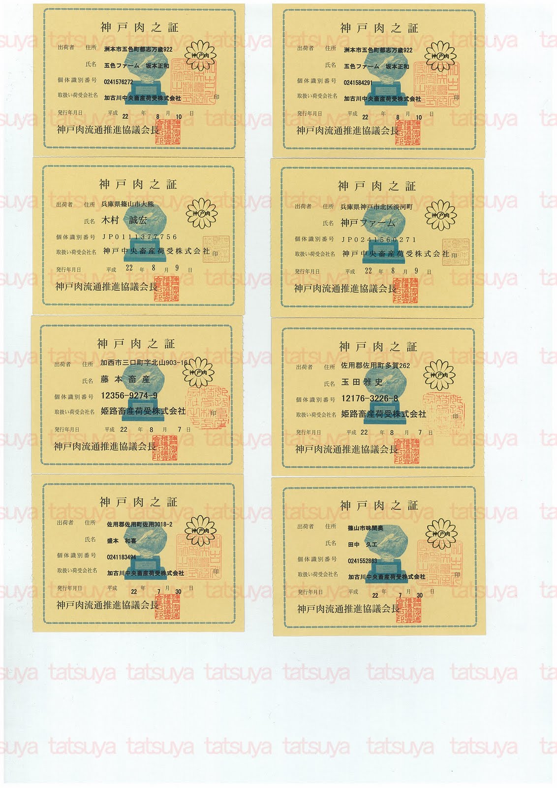 [LOT-10083101-#1.jpg]