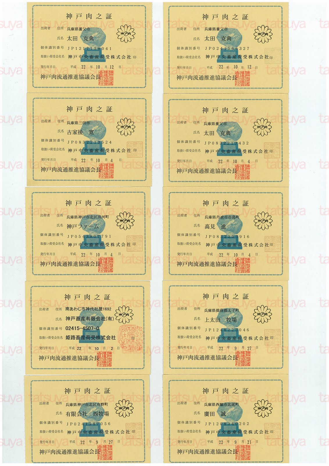 [LOT-10101801-#1.jpg]