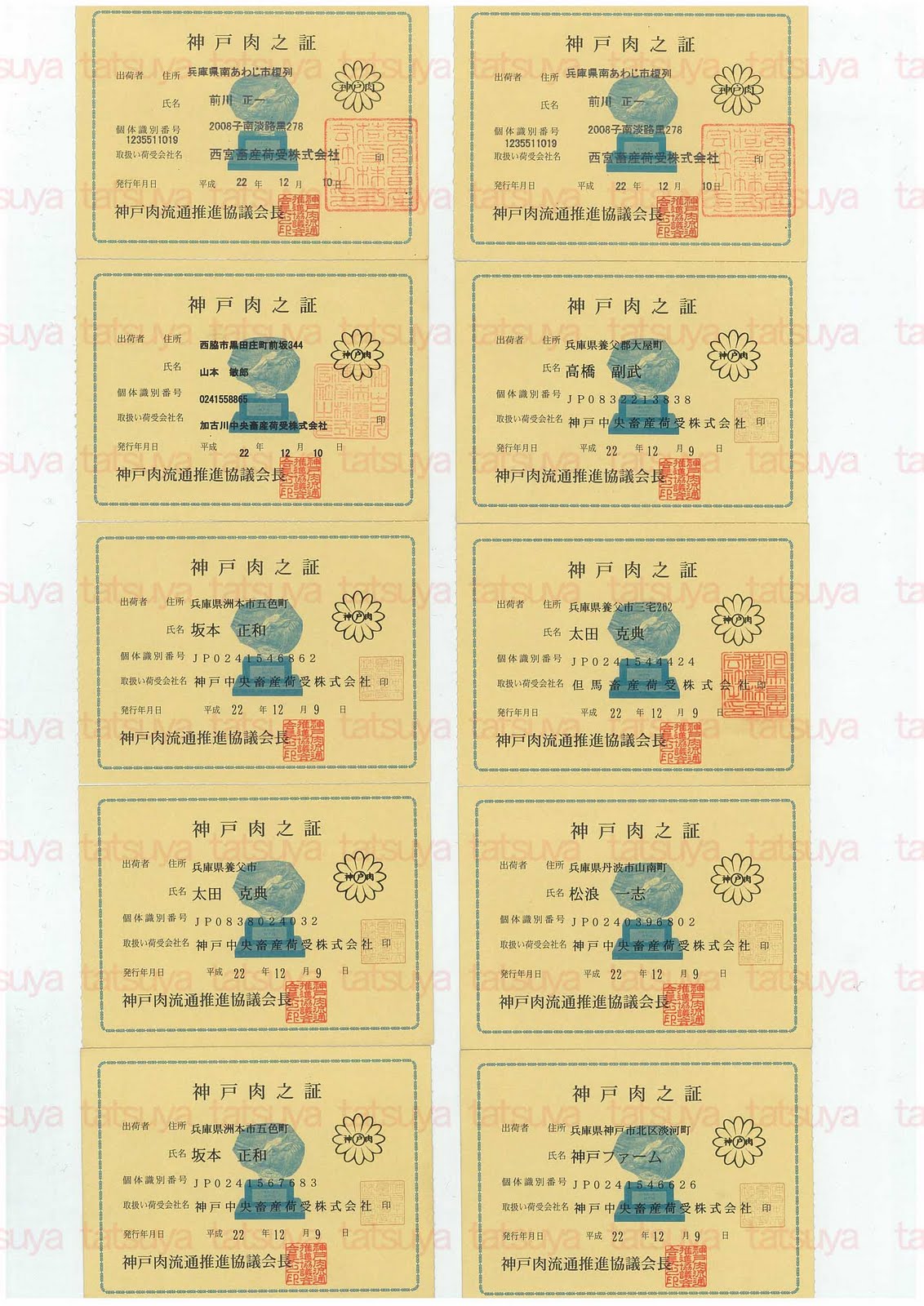 [LOT-10123001-#3.jpg]