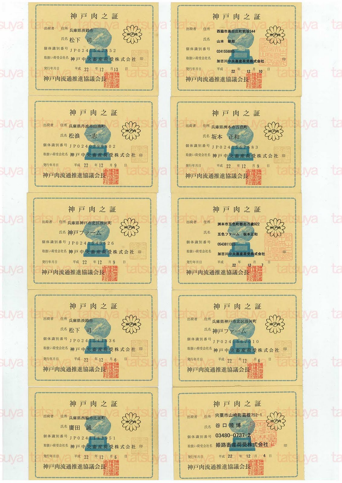 [LOT-10122501-#1.jpg]