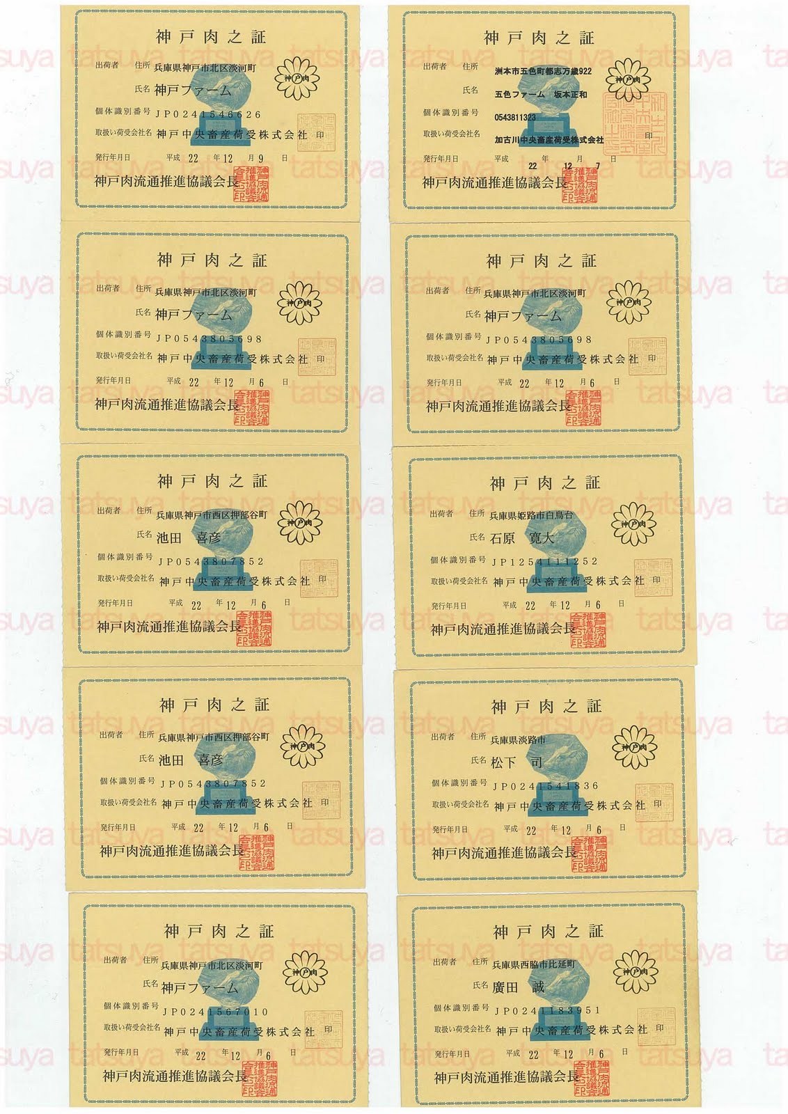 [LOT-10122901-#3.jpg]
