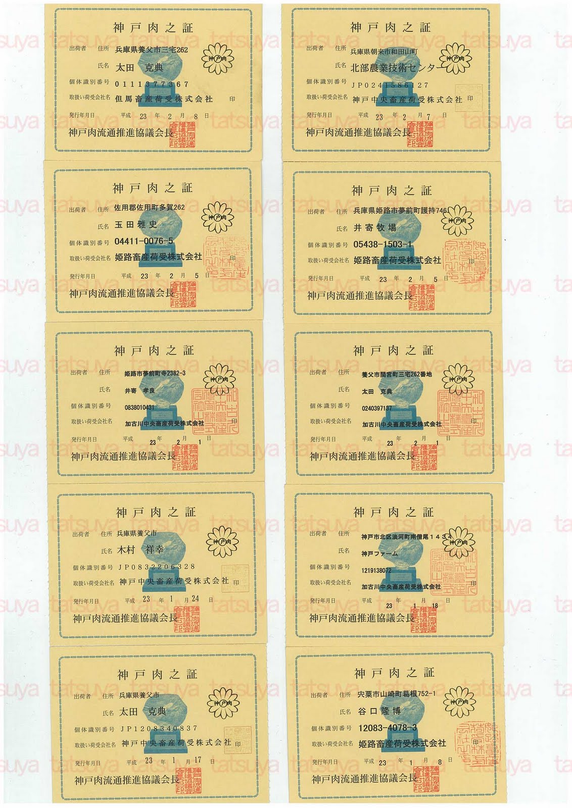 [LOT-11021901-#1.jpg]