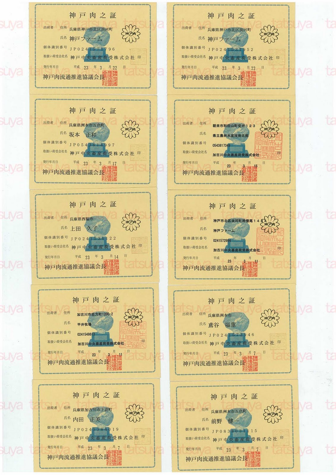 [LOT-11033101-#1.jpg]