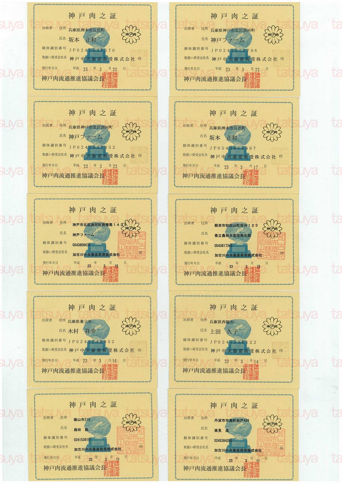 [LOT-11040401-#1.jpg]