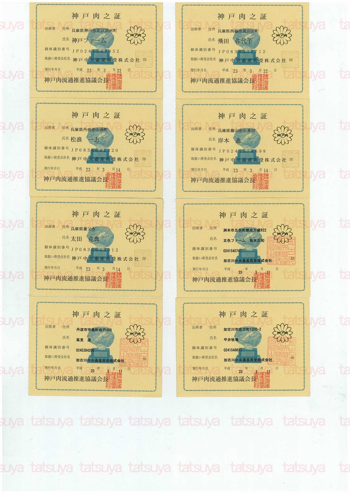 [LOT-11041301-#2.jpg]